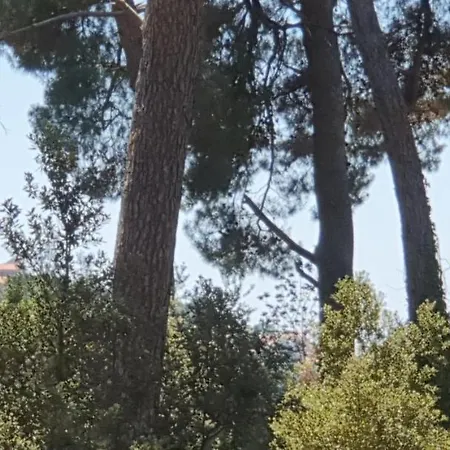 Διαμέρισμα Casa Monti *