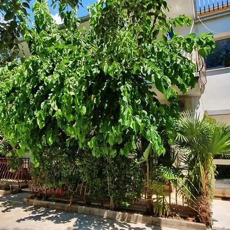 Casa Monti Ρόβινι